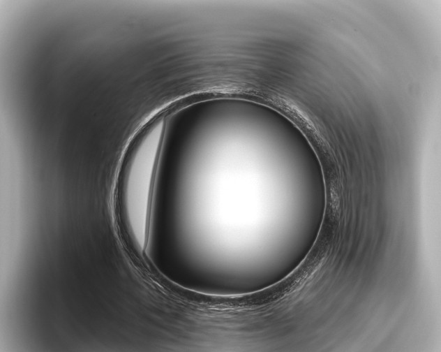 X0000096680532200802051032