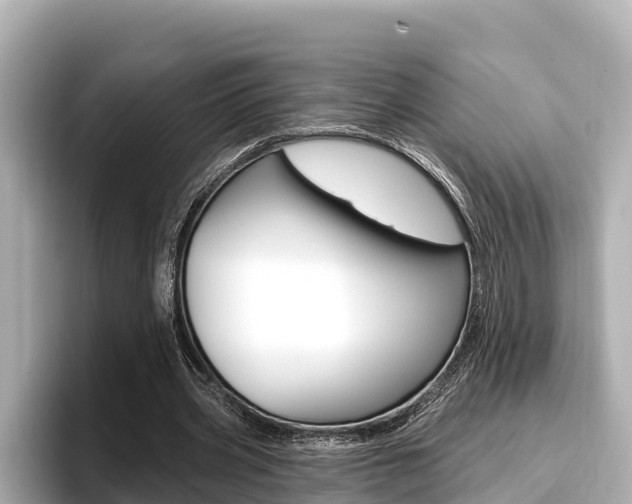 X0000096680533200802051032