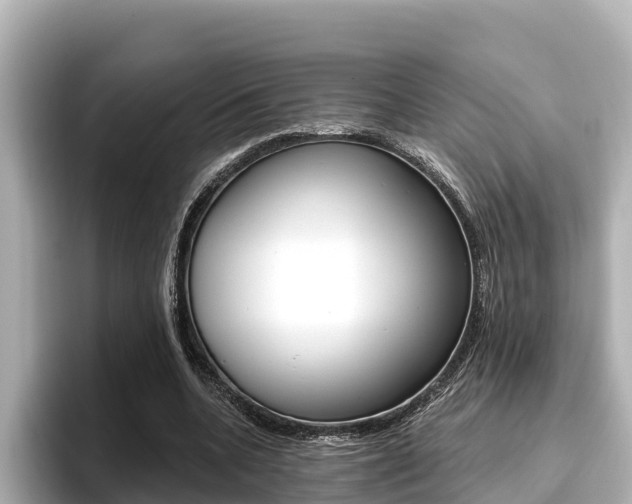 X0000096680536200802051032