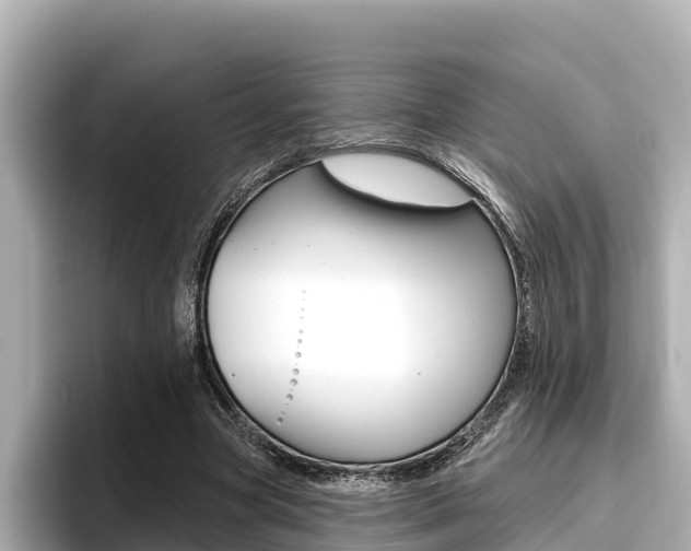 X0000096680537200802051032