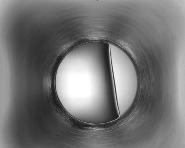 X0000096680539200802051032