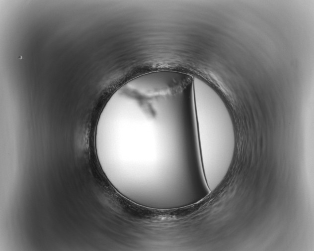 X0000096680543200802051032