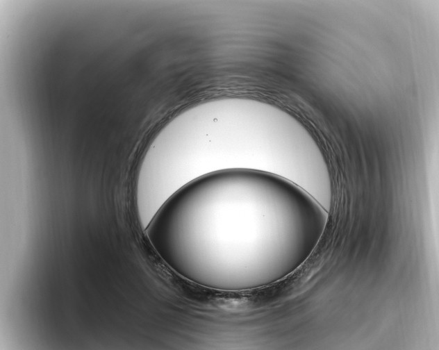 X0000096680552200802051032