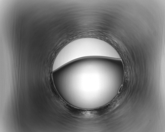 X0000096680558200802051032