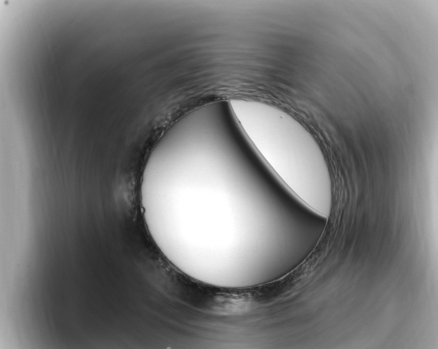 X0000096680559200802051032