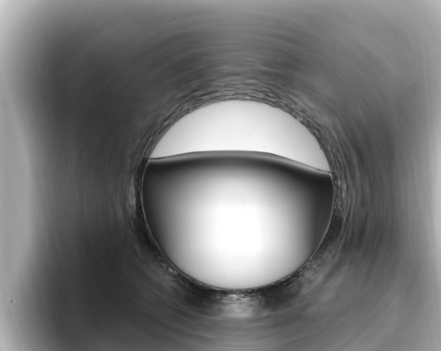 X0000096680562200802051032