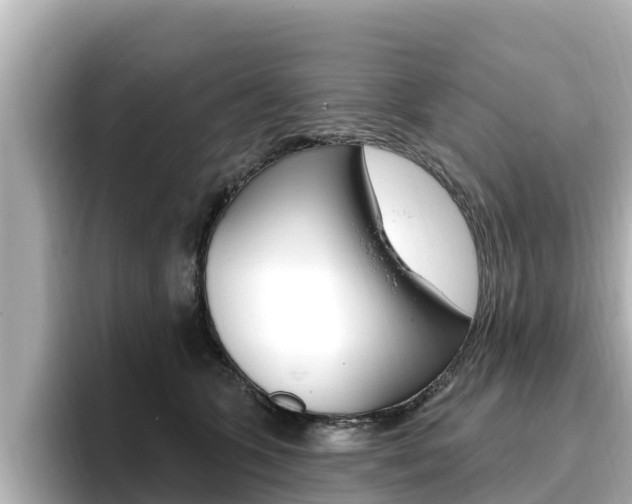 X0000096680563200802051032