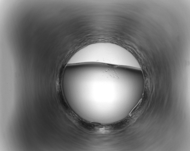 X0000096680564200802051032