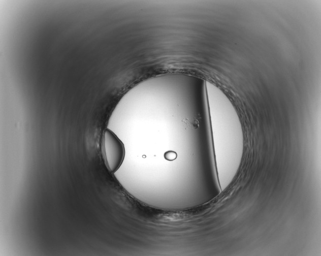X0000096680567200802051032