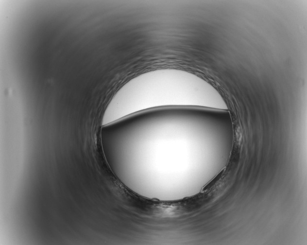 X0000096680570200802051032