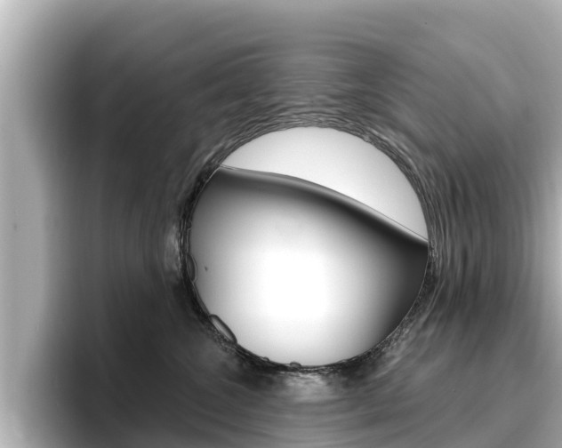 X0000096680572200802051032