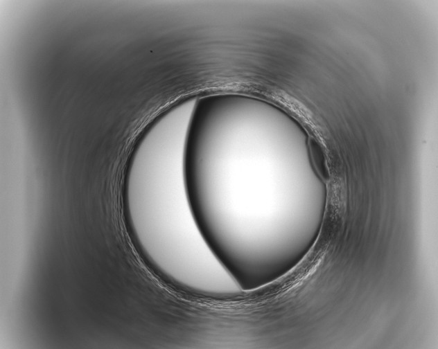 X0000096680577200802051031