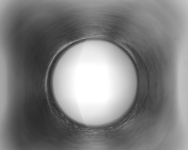 X0000096680579200802051031