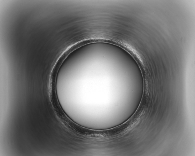 X0000096680580200802051031