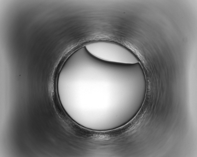X0000096680582200802051031