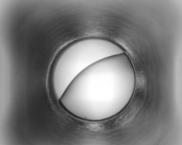 X0000096680583200802051031