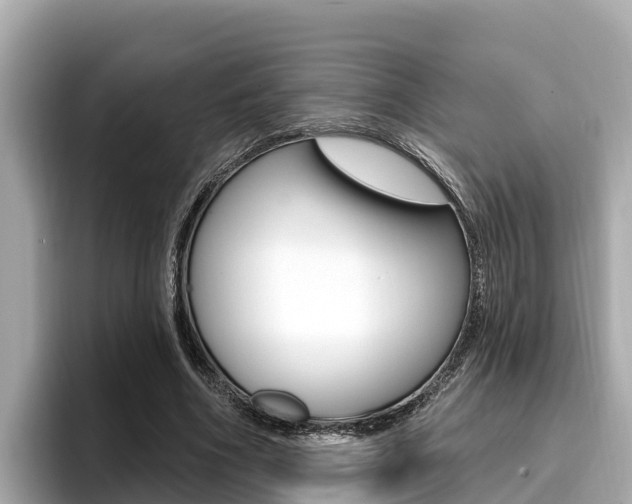X0000096680586200802051031