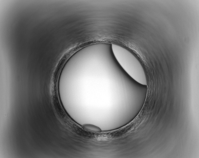 X0000096680587200802051031