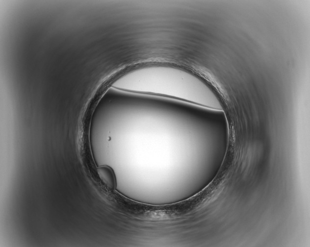 X0000096680588200802051031