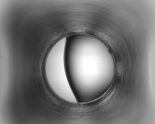 X0000096680589200802051031