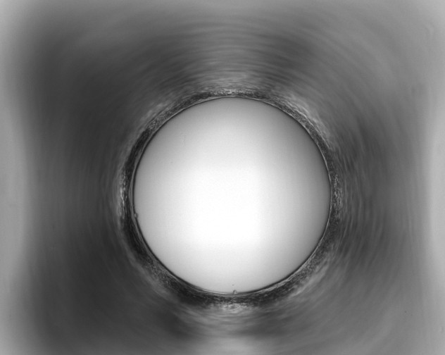 X0000096680590200802051031