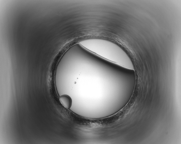 X0000096680592200802051031