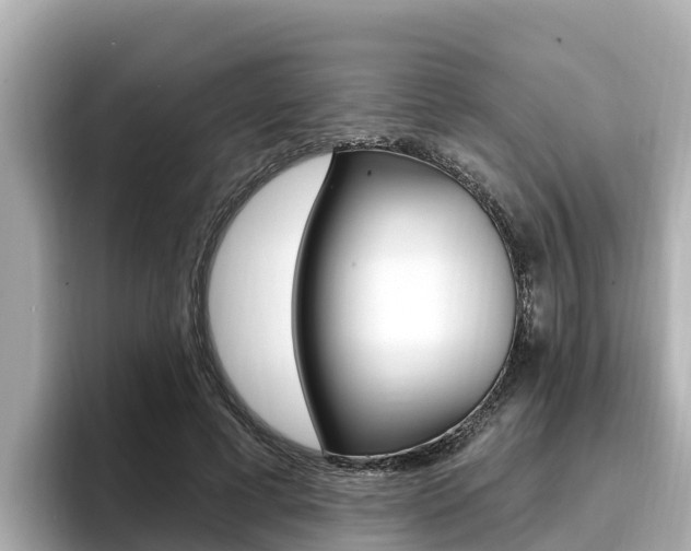 X0000096680593200802051031