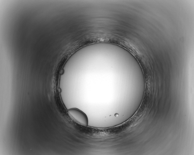 X0000096680594200802051031