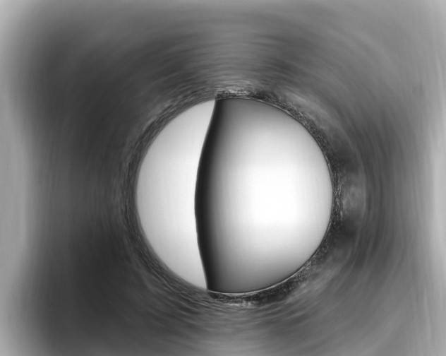 X0000096680595200802051031