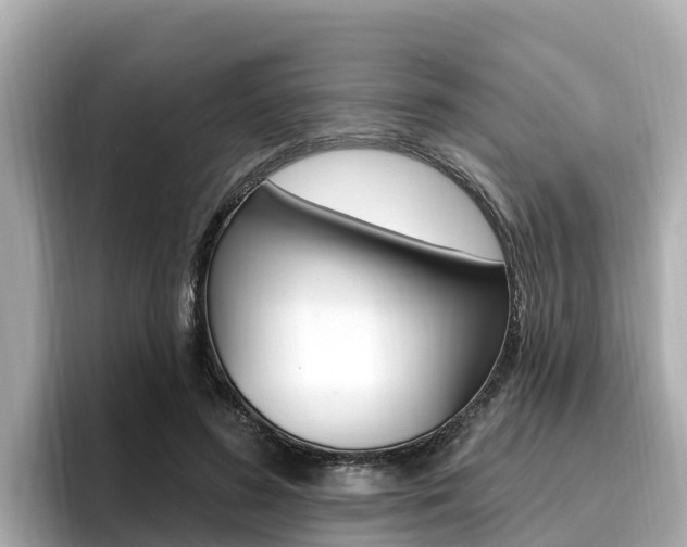 X0000096680596200802051031