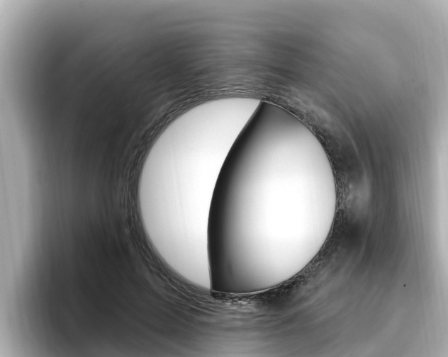 X0000096680599200802051031