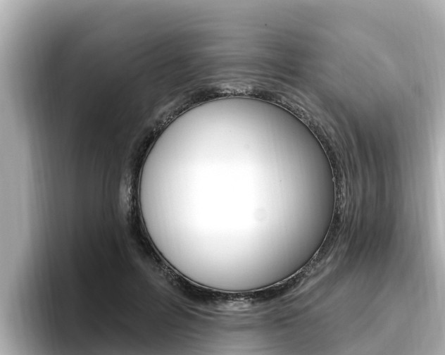 X0000096680600200802051031