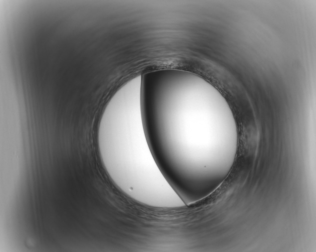 X0000096680601200802051031