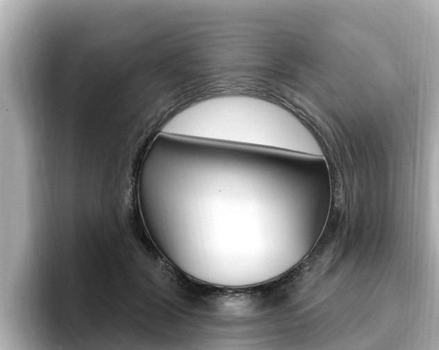 X0000096680604200802051031