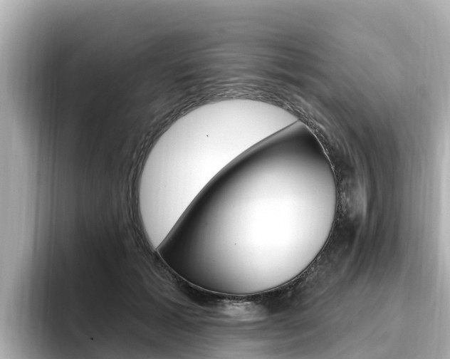 X0000096680605200802051031