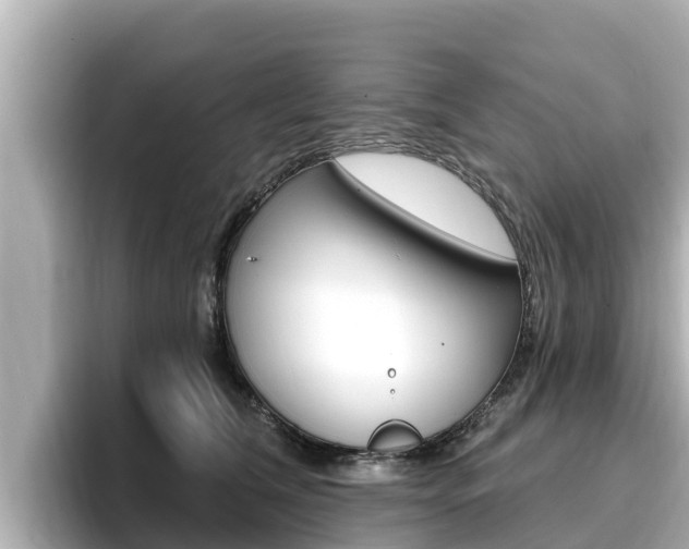 X0000096680612200802051031