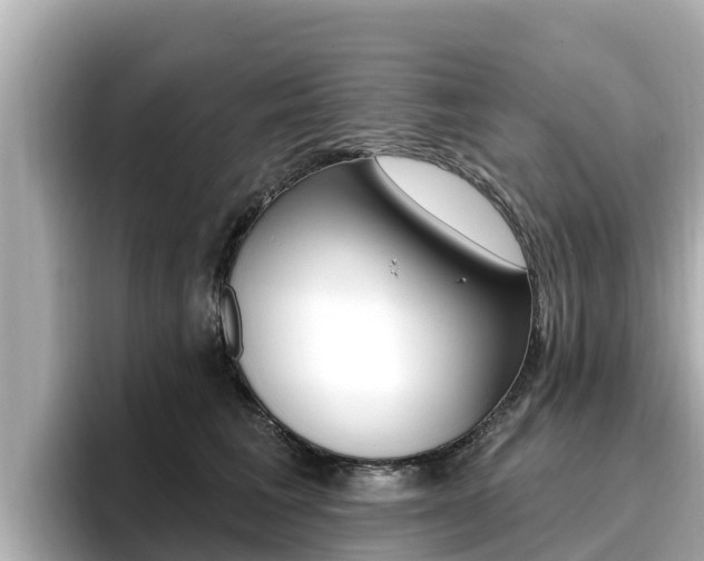 X0000096680613200802051031