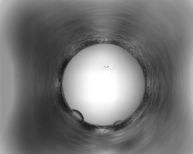X0000096680614200802051031
