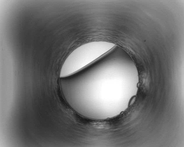 X0000096680615200802051031