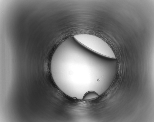 X0000096680616200802051031