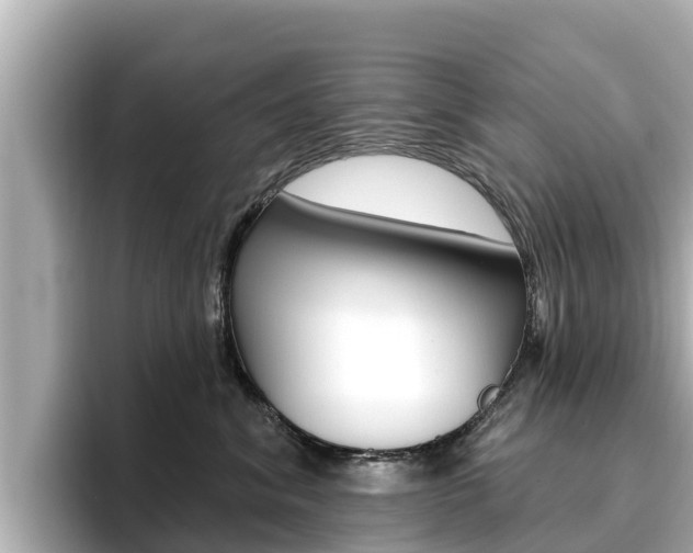 X0000096680620200802051031
