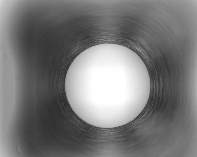 X0000096680621200802051031