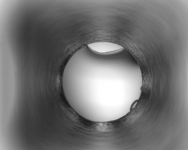 X0000096680623200802051031
