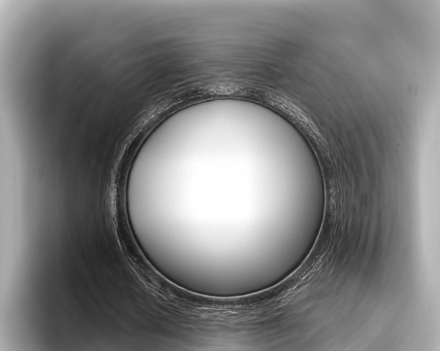 X0000096680626200802051030
