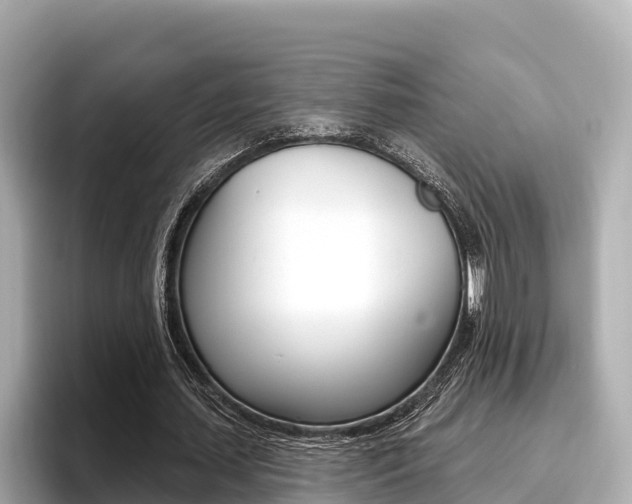X0000096680627200802051030