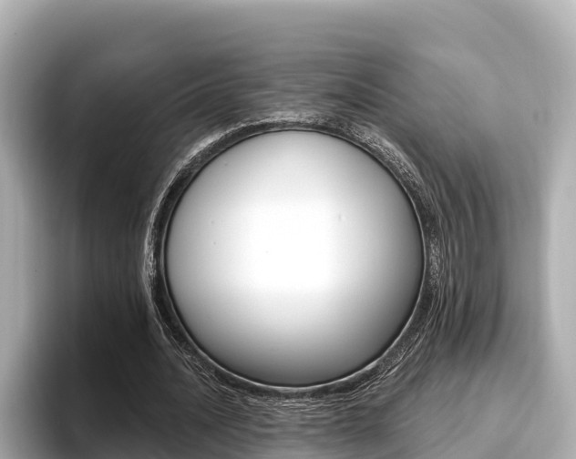X0000096680628200802051030