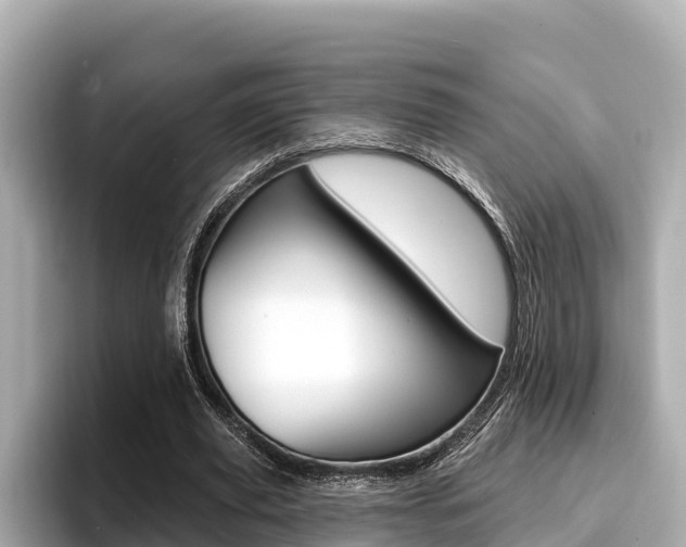 X0000096680629200802051030