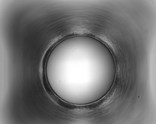 X0000096680630200802051030