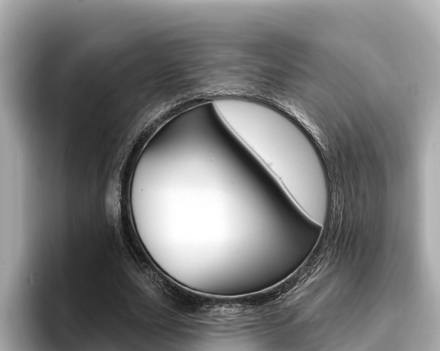 X0000096680631200802051030
