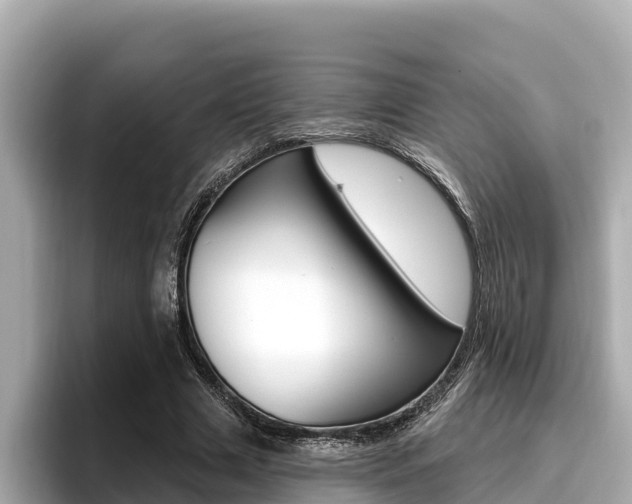 X0000096680633200802051030